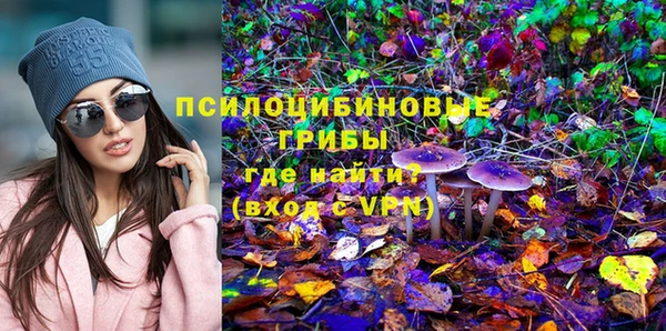 бошки Аркадак