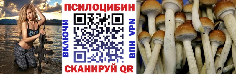 Галлюциногенные грибы Magic Shrooms  Будённовск 